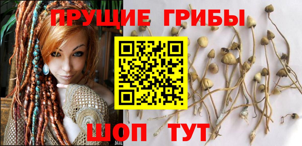 Галлюциногенные грибы MAGIC MUSHROOMS  Вход с VPN  где купить наркотик  Ростов-на-Дону 